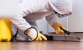 Professional Pest Control in Pierson, FL